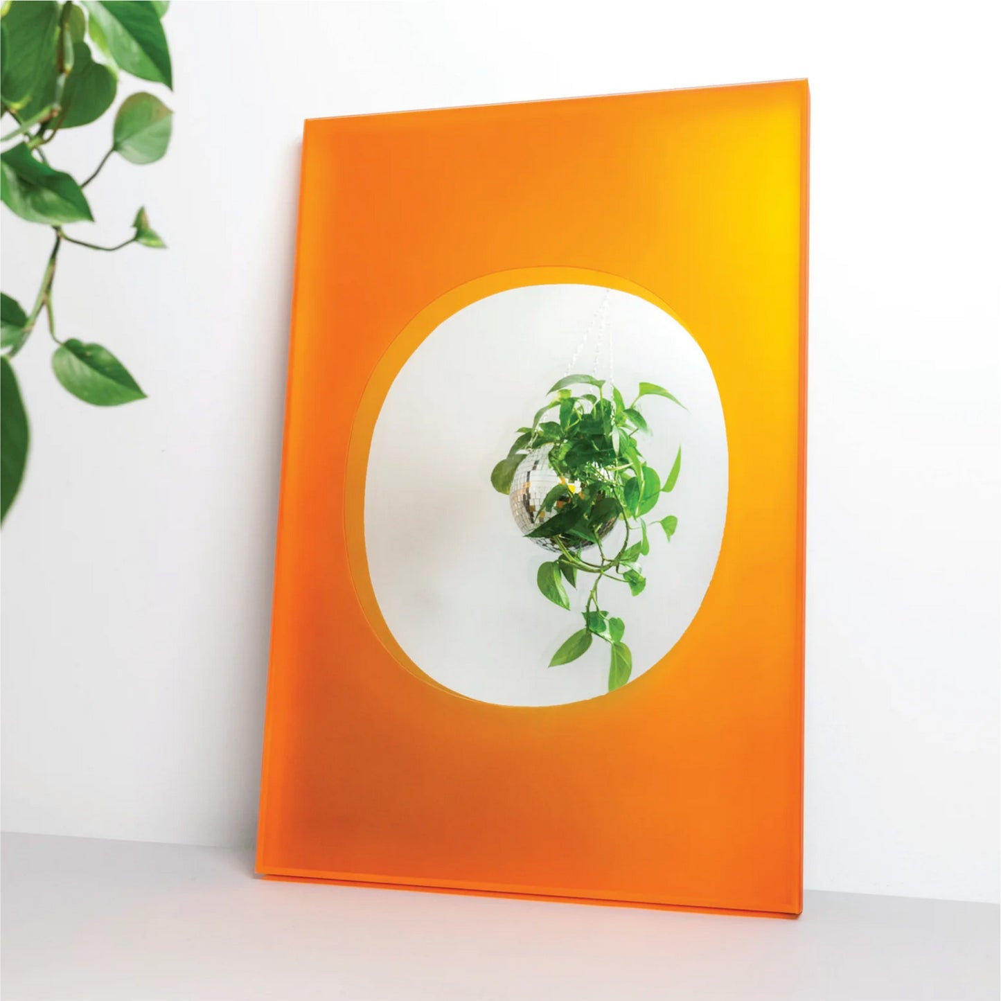 AQUARIUM Spiegel | Orange