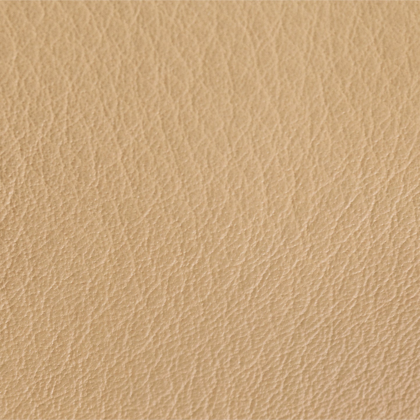PUFFY Sofa | Edelstahl Leder Sand