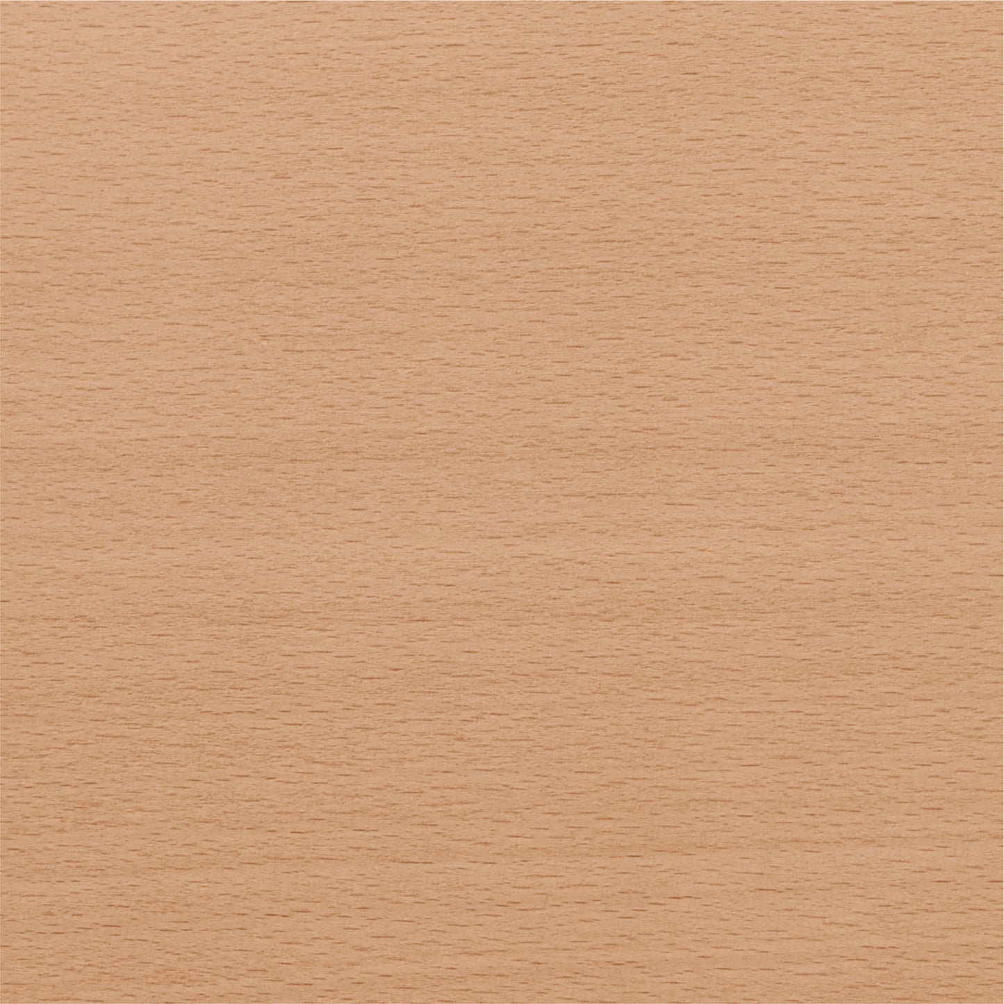 BULLNOSE Stuhl | Buche
